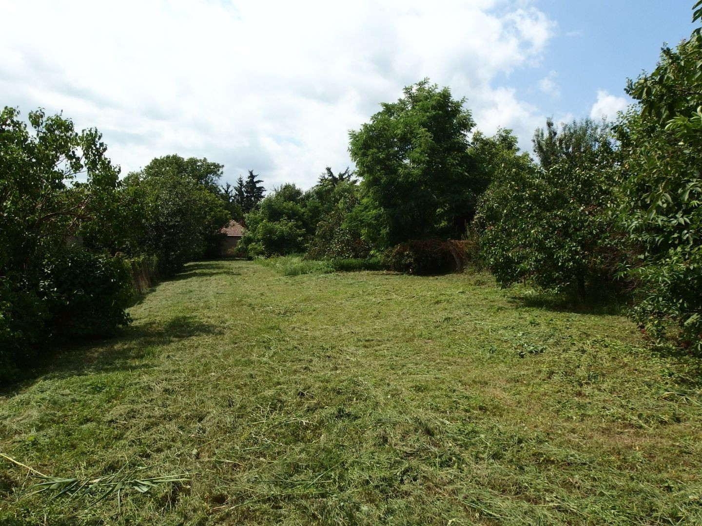 MAĎARSKO - GONCRUSZKA STAVEBNÝ POZEMOK 1.586 M2 S  IS A STUDŇOU.