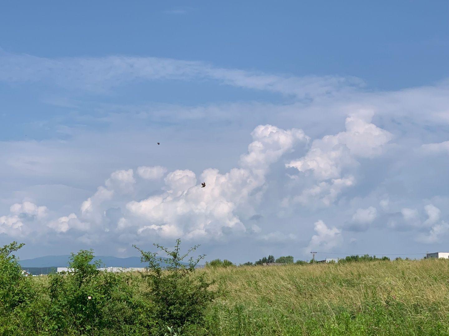 JUH - OBCHVAT SMER OPTIMA 5.970 M2 NA STAVBU PUMPY, SHOWROOMU, AUTOMYVÁRNE, SERVISU.