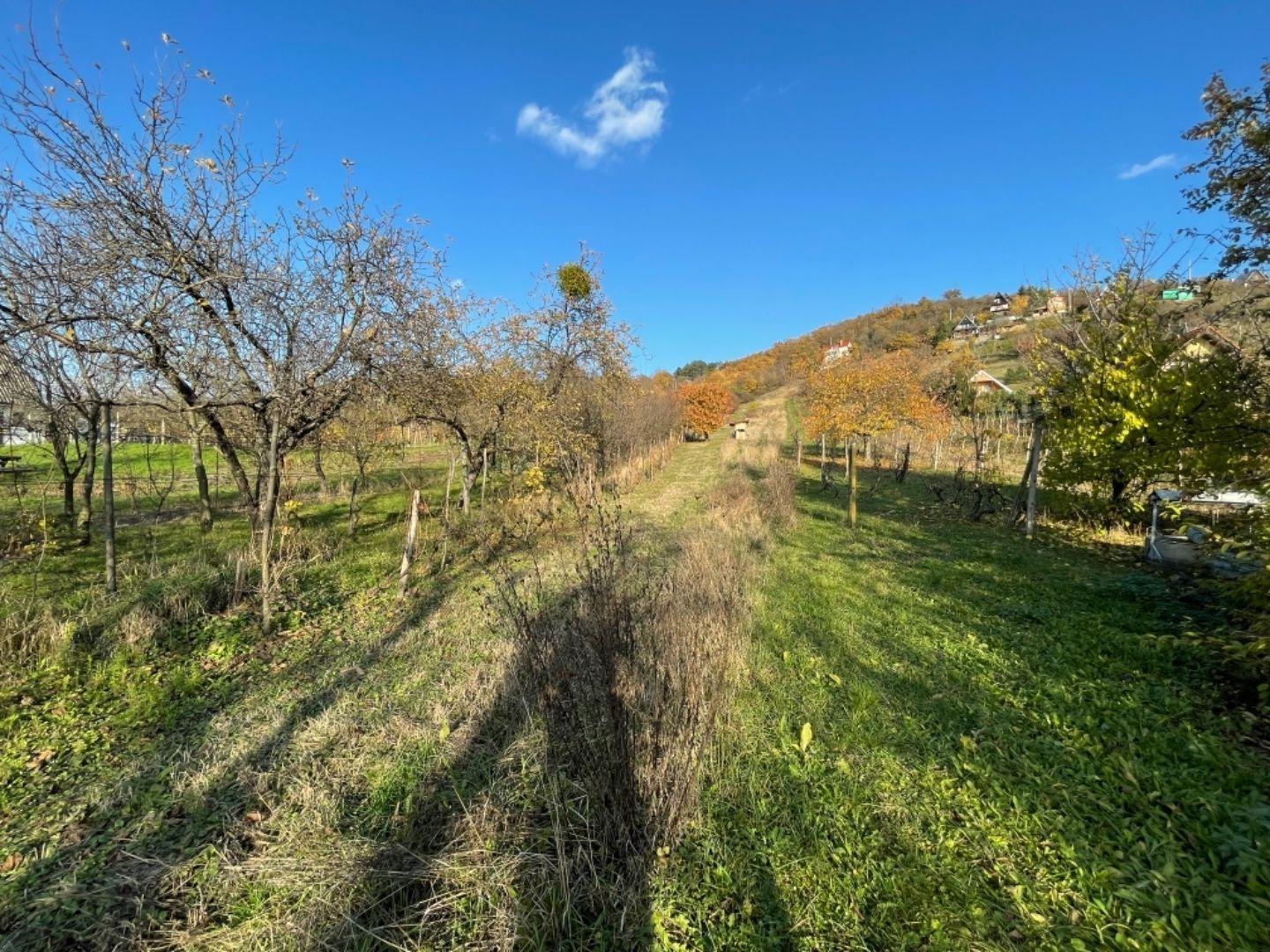 REZERVOVANÉ - VINNÉ - STAVEBNÝ POZEMOK NA CHATU, NA VÝBORNOM MIESTE.