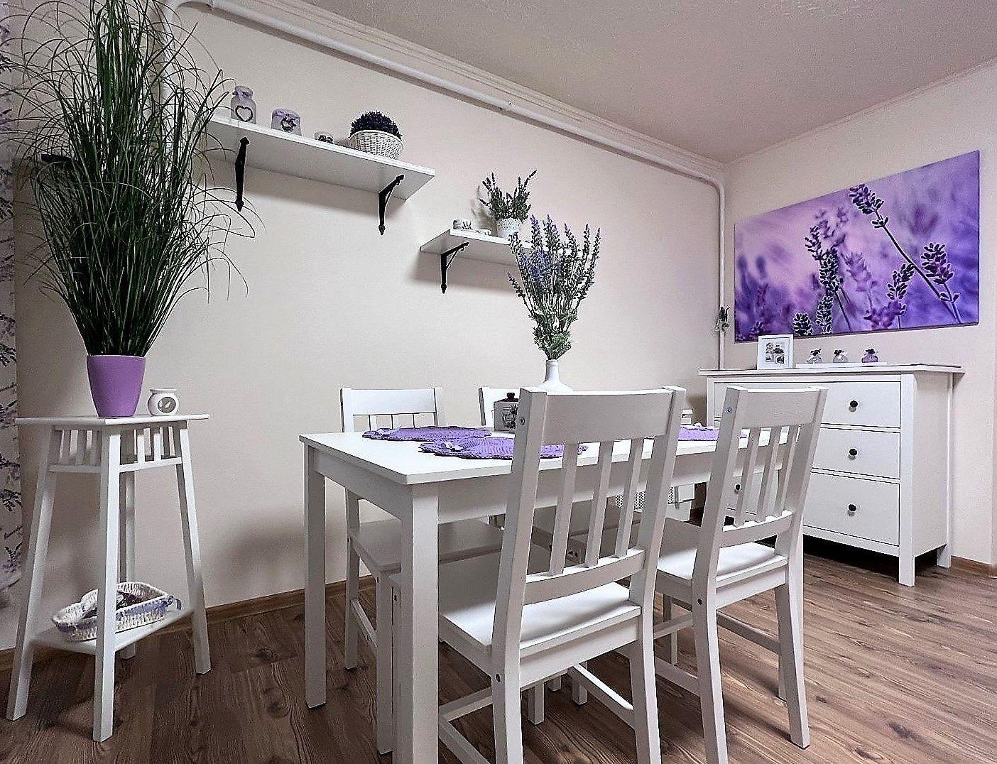 MAĎARSKO - JAZERO RAKACA - 2 IZBOVÁ CHATA PROVANCE - PRI JAZERE S TERASOU.