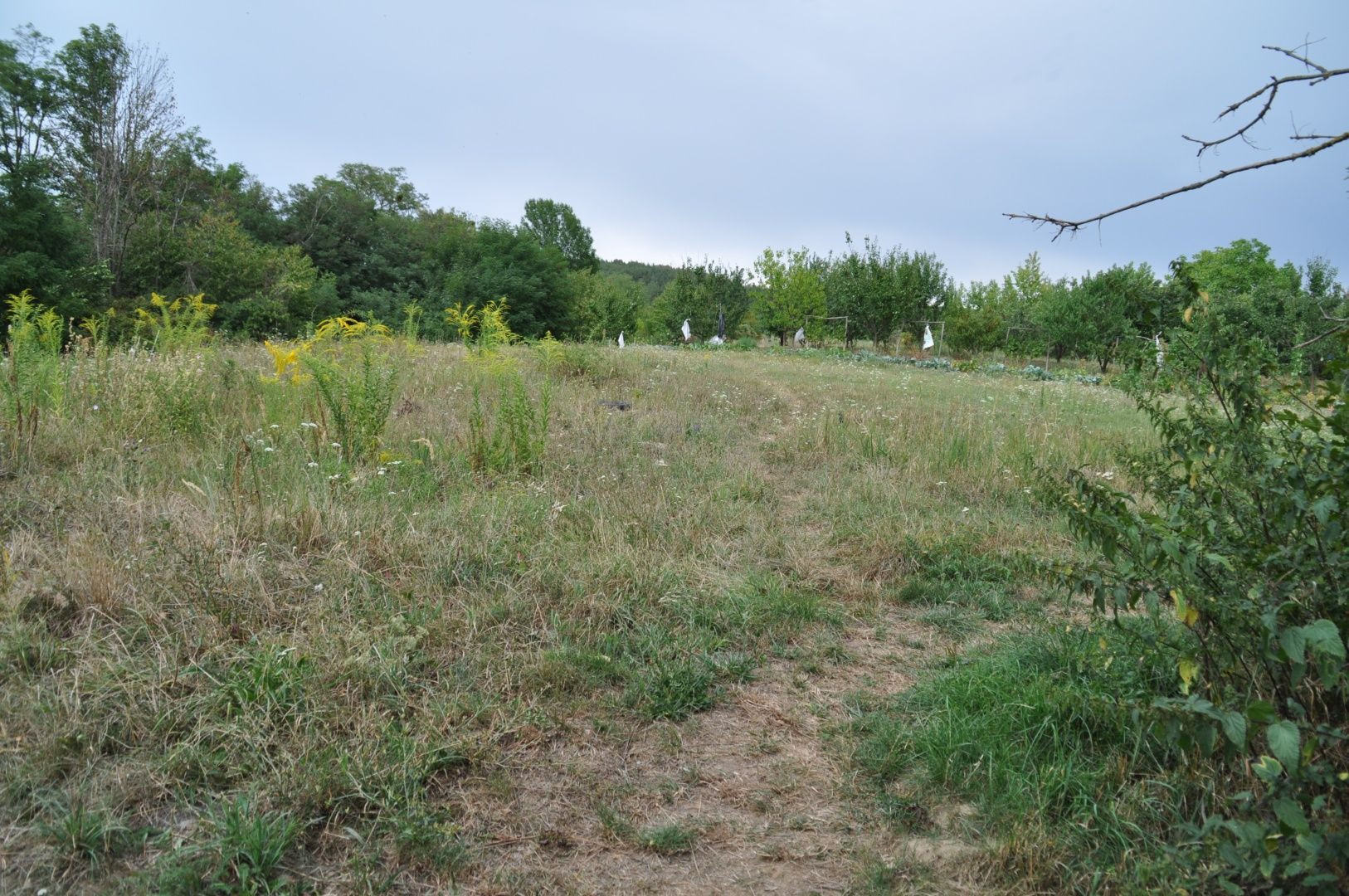 MAĎARSKO - PANYOK PEKNÝ POZEMOK 1.040 M2.