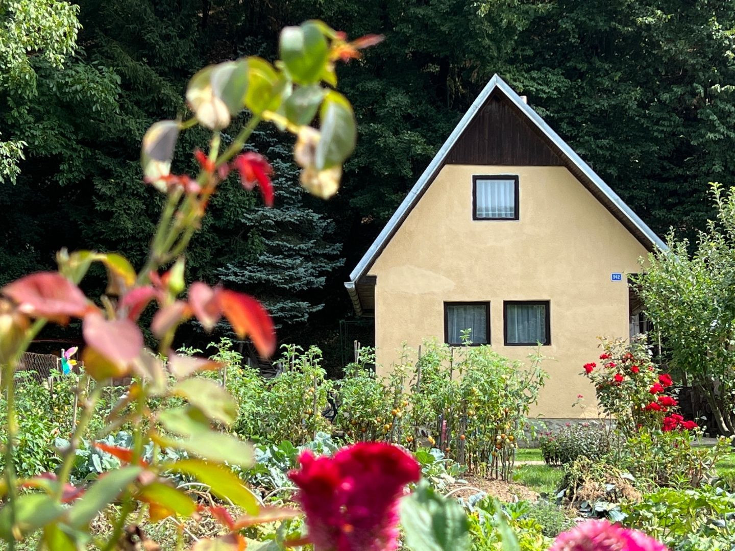 KOSTOĽANY NAD HORNÁDOM - POSCHODOVÁ CHATA, UPRAVENÝ POZEMOK