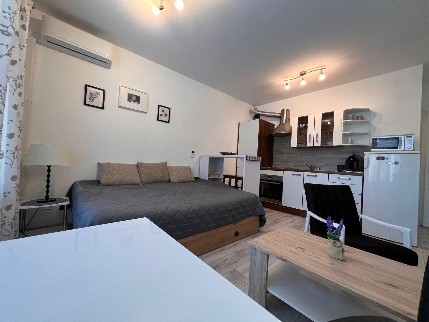 STARÉ MESTO - STROJÁRENSKÁ NOVOSTAVBA 1 IZBOVÝ MODERNÝ KOMPLETNE ZARIADENÝ TEHLOVÝ BYT.