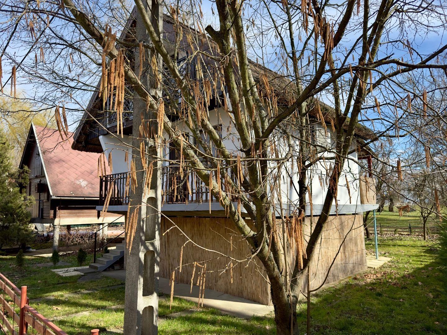 MAĎARSKO - TISZACSEGE - POSCHODOVÁ CHATA SO SLAMENOU STRECHOU, TERASA, PRI RIEKE TISZA A TERMÁLNOM KÚPALISKU.