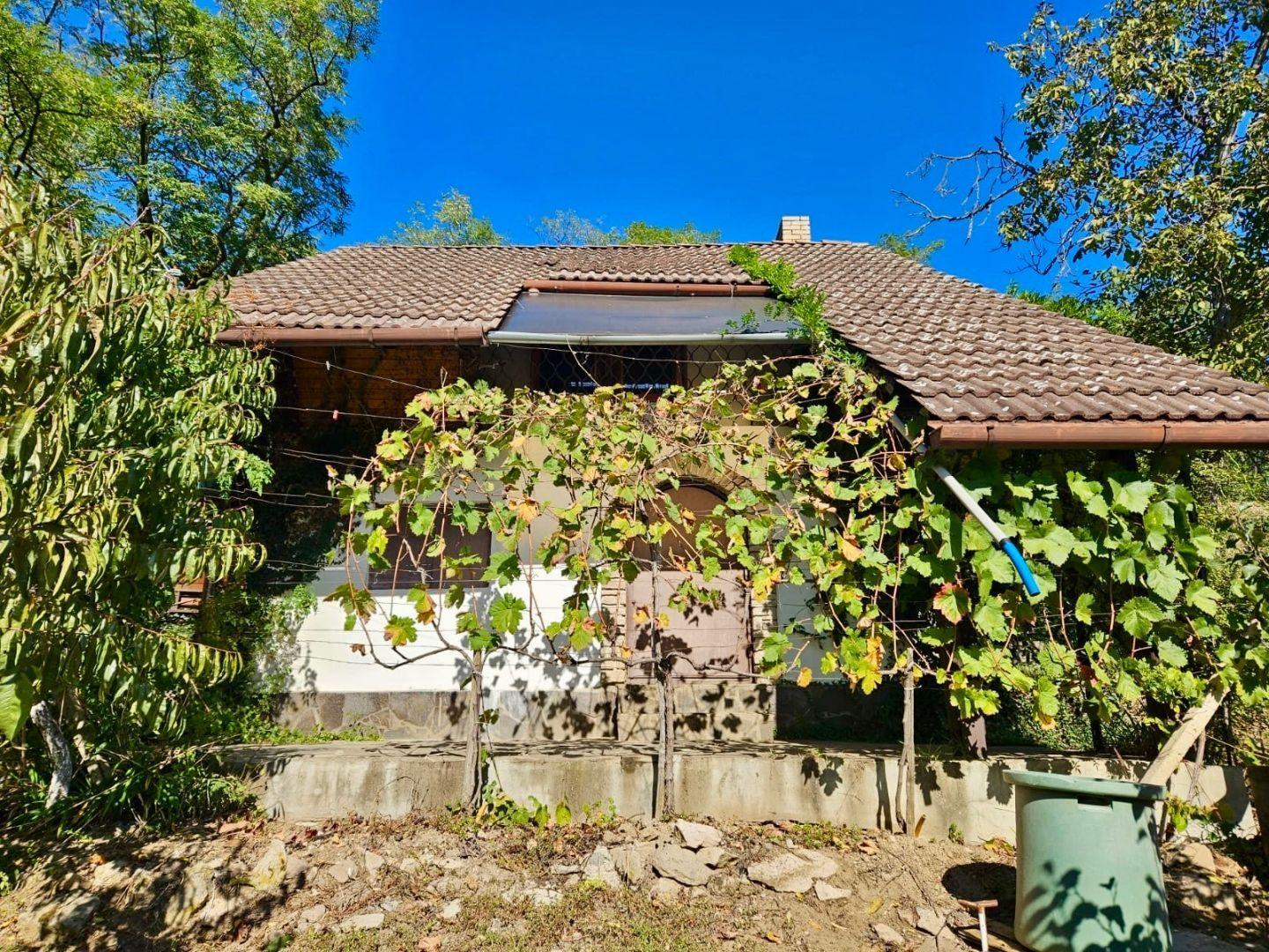 KRÁĽOVSKÝ CHLMEC - CHATA S VINNOU PIVNICOU A UDRŽIAVANOU VINICOU.