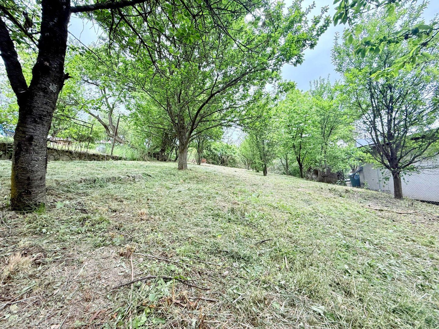 VYŠNÉ OPÁTSKE - SUPER CENA ZÁHRADA  VČELÁRSKA PASEKA