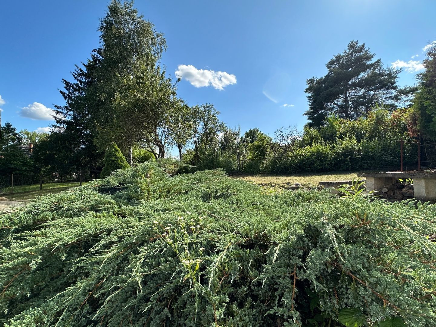 NOVÁ CENA - MAĎARSKO - JAZERO RAKACA - MUROVANÁ CHATA - PRI JAZERE S TERASOU.