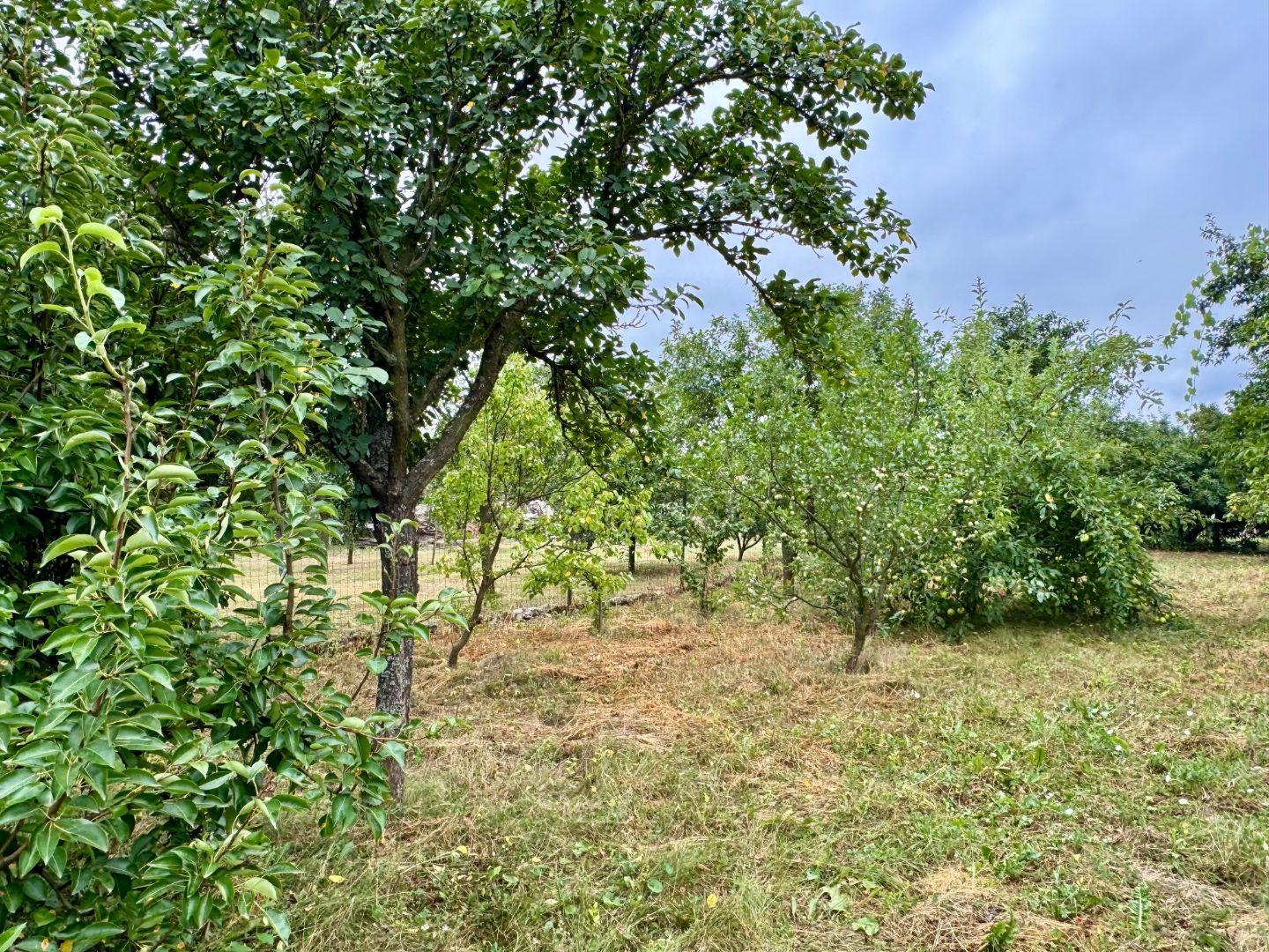 MAĎARSKO - FORRÓ / ENCS - ABÚJDEVECSER  - 3 IZBOVÝ DOM IHNEĎ OBÝVATEĽNÝ