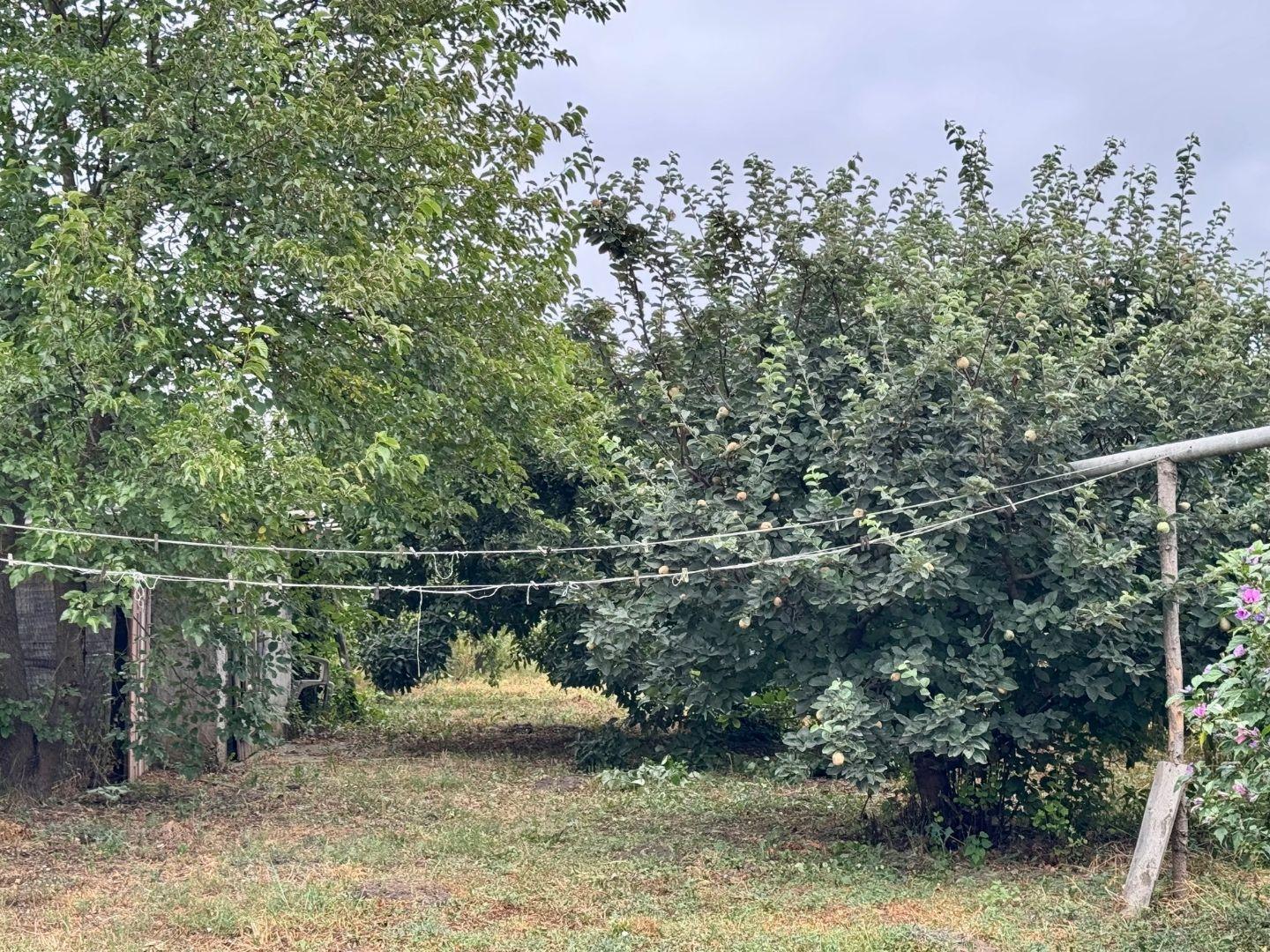 MAĎARSKO - FORRÓ / ENCS - ABÚJDEVECSER  - 3 IZBOVÝ DOM IHNEĎ OBÝVATEĽNÝ