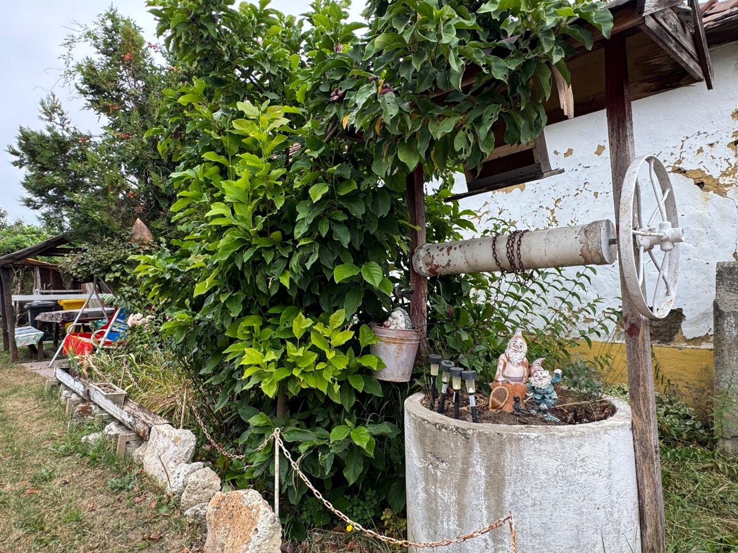 MAĎARSKO - FORRÓ / ENCS - ABÚJDEVECSER  - 3 IZBOVÝ DOM IHNEĎ OBÝVATEĽNÝ