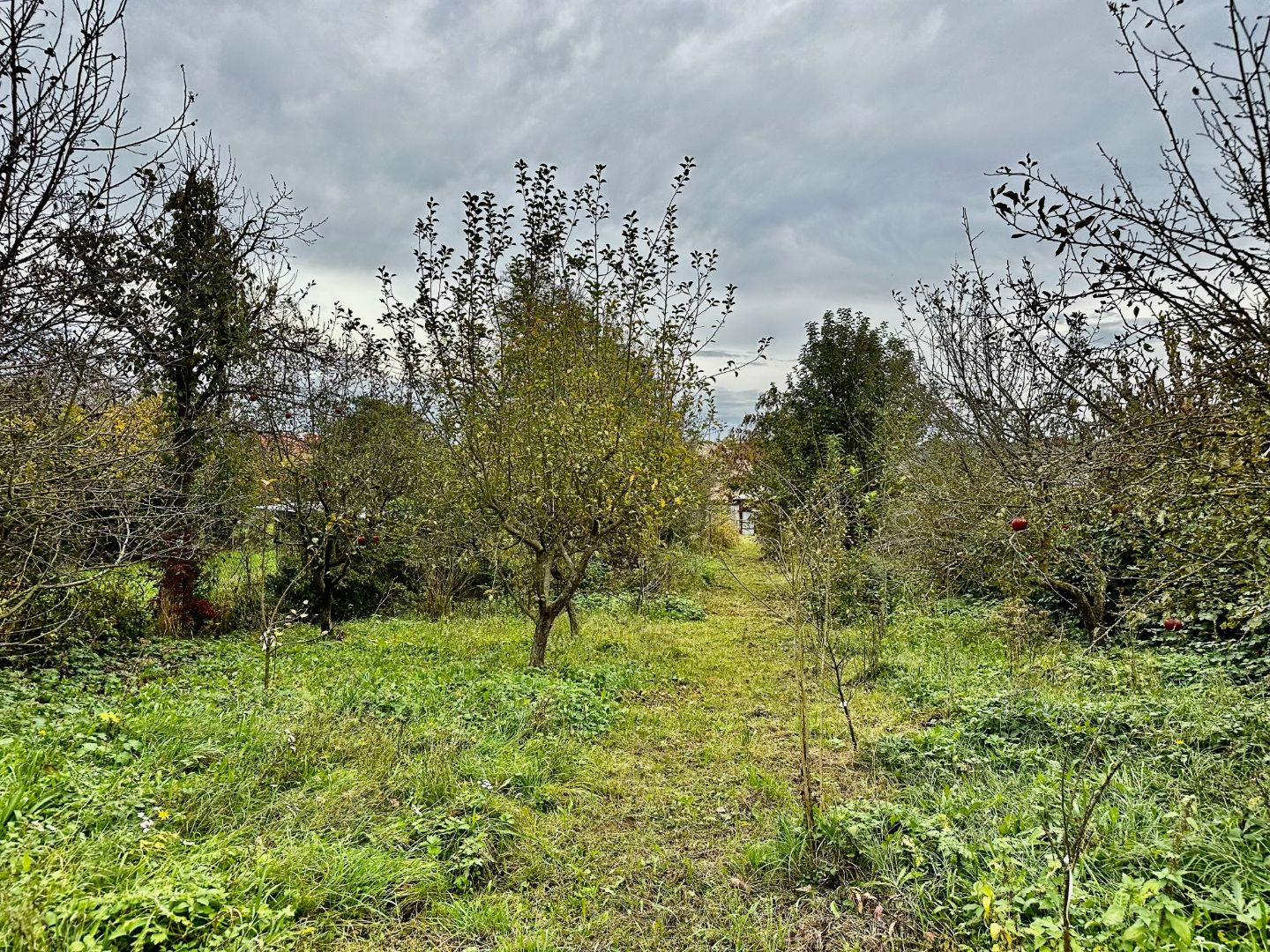 DRIENOVEC - STAVEBNÝ POZEMOK 1.000 M2 NA KĽUDNOM MIESTE V LOKALITE NOVÝCH RD.