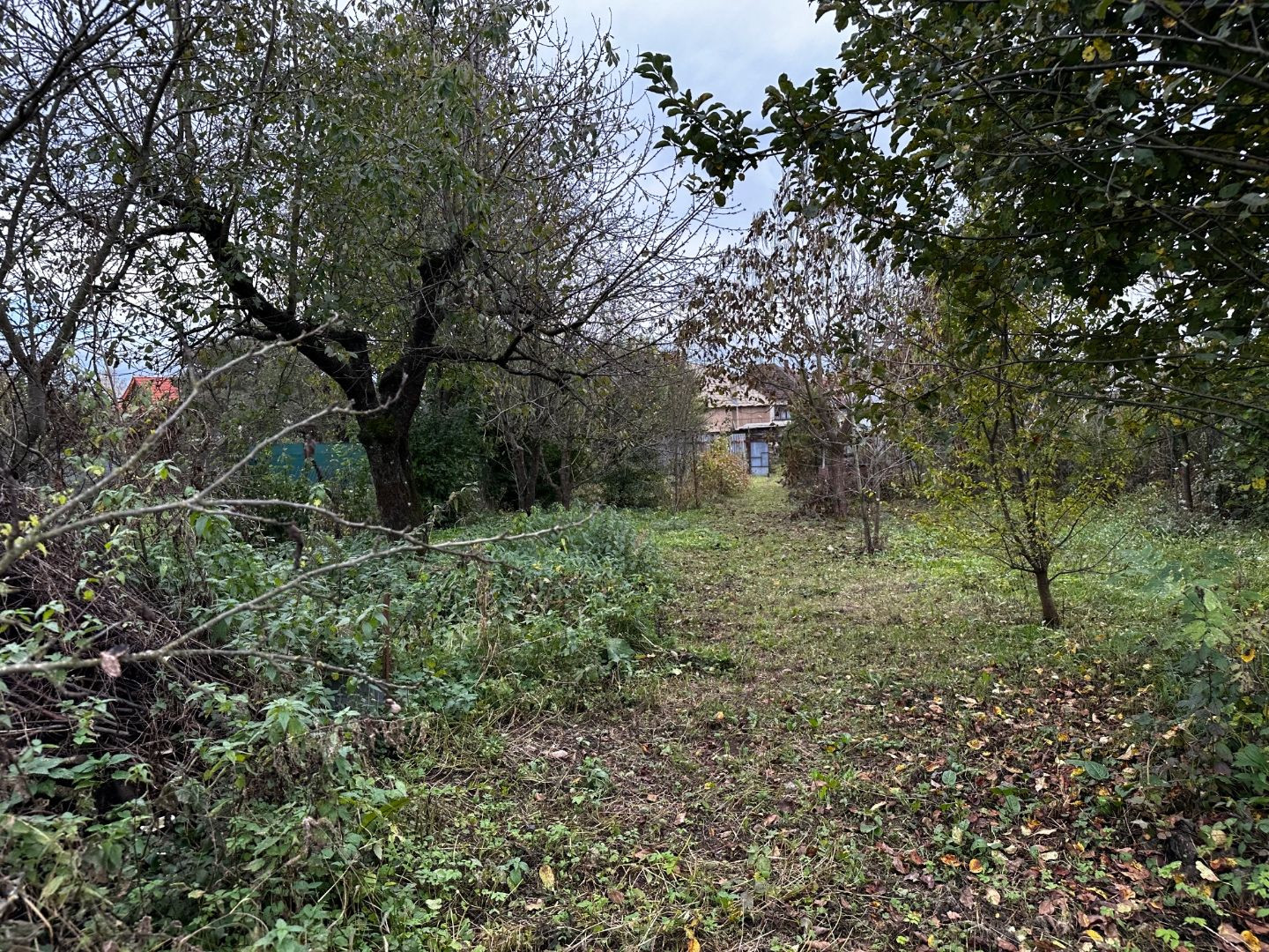 DRIENOVEC - STAVEBNÝ POZEMOK 1.000 M2 NA KĽUDNOM MIESTE V LOKALITE NOVÝCH RD.