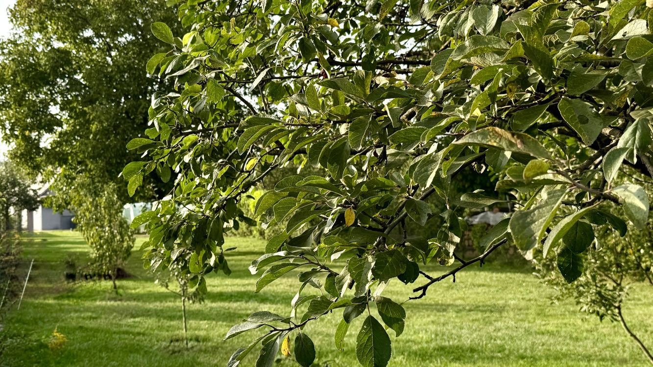 MAĎARSKO - TORNYOSNÉMETI STAVEBNÝ POZEMOK 600 M2 VŠETKY IS V DOSAHU.