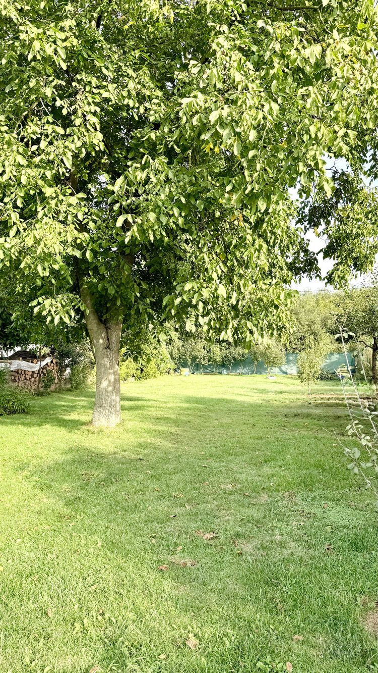 MAĎARSKO - TORNYOSNÉMETI STAVEBNÝ POZEMOK 600 M2 VŠETKY IS V DOSAHU.