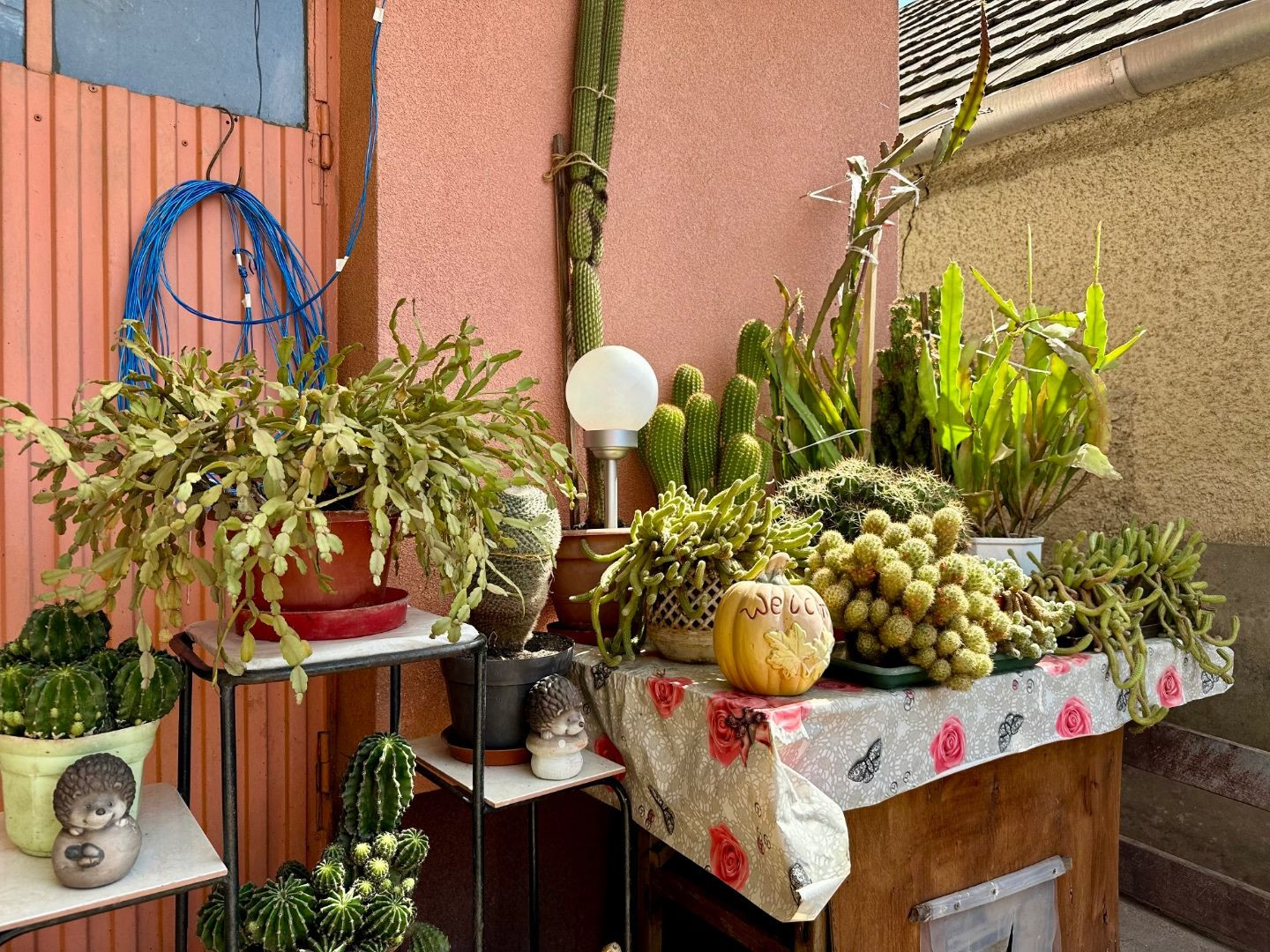 MAĎARSKO - SZENDRŐ ZREKONŠTRUOVANÝ 3 IZBOVÝ RD S PEKNÝM POZEMKOM.