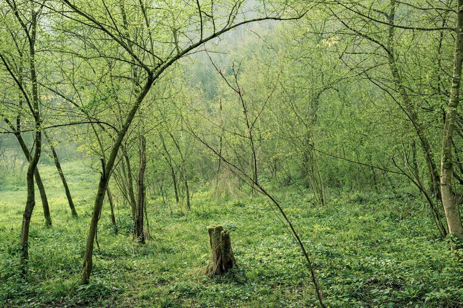 MAĎARSKO - PANYOK PEKNÝ STAVEBNÝ POZEMOK 833 M2