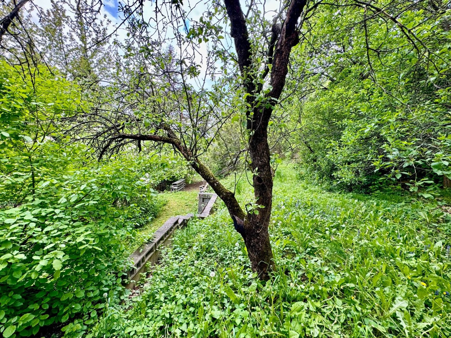 FURČA - STAVEBNÝ POZEMOK 567 M2, PRI OBYTNOM SÚBORE NA HORE.