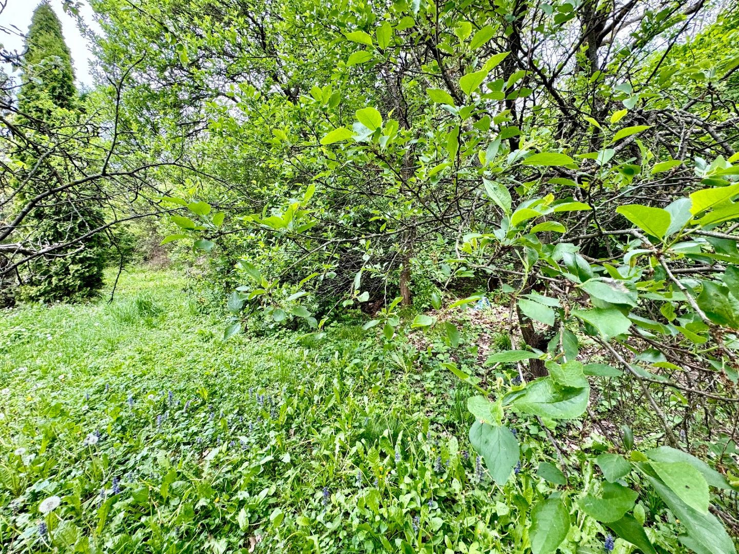 FURČA - STAVEBNÝ POZEMOK 567 M2, PRI OBYTNOM SÚBORE NA HORE.