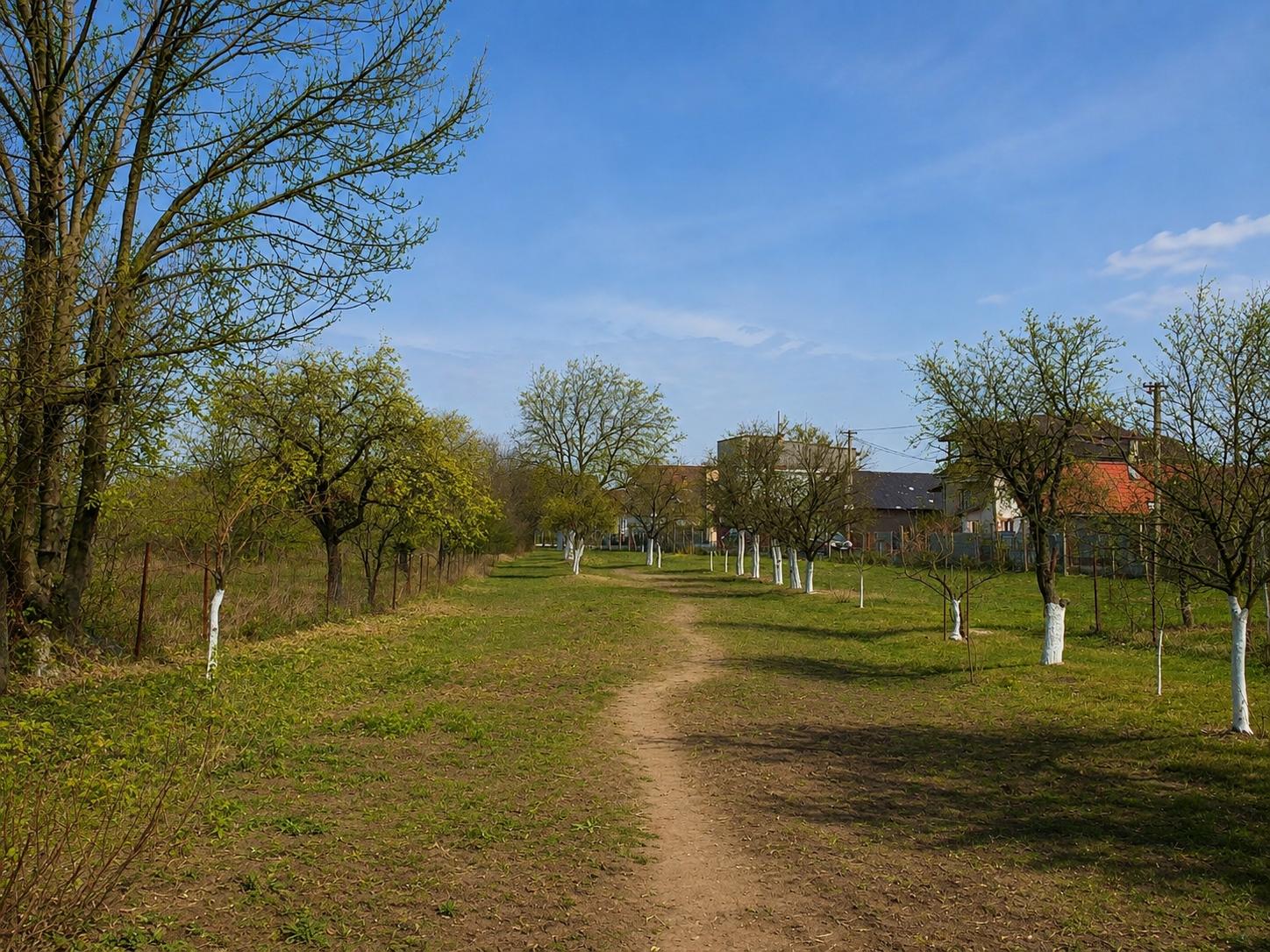 SEČOVCE - ROVINATÝ STAVEBNÝ POZEMOK 1417 PRIAMO V OBCI IS PRI POZEMKU.