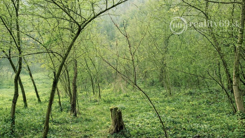 MAĎARSKO - PANYOK PEKNÝ STAVEBNÝ POZEMOK 833 M2