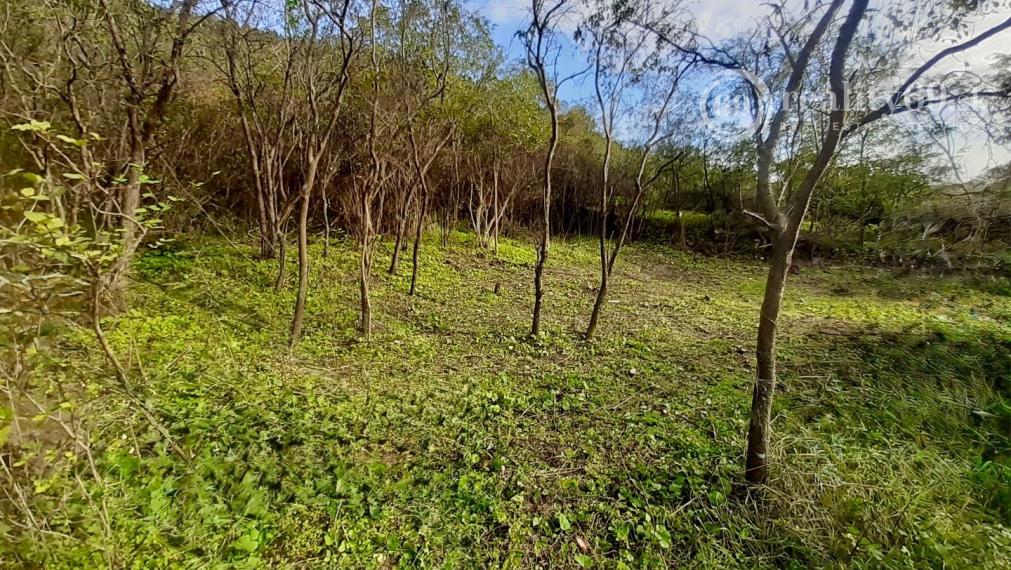 MAĎARSKO - BOLDOGKOVARALJA PEKNÝ STAVEBNÝ POZEMOK 953 M2.