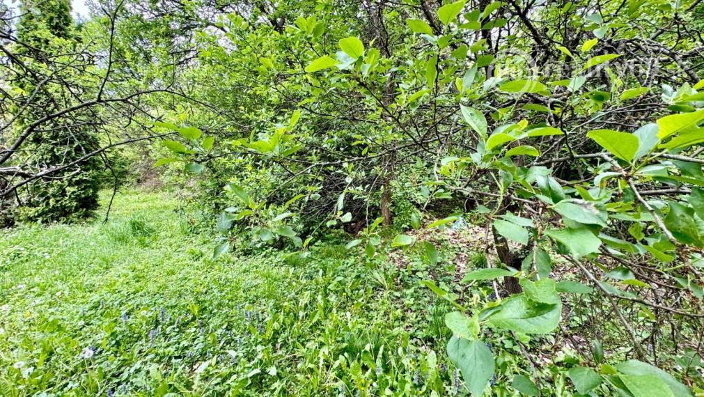 FURČA - STAVEBNÝ POZEMOK 567 M2, PRI OBYTNOM SÚBORE NA HORE.