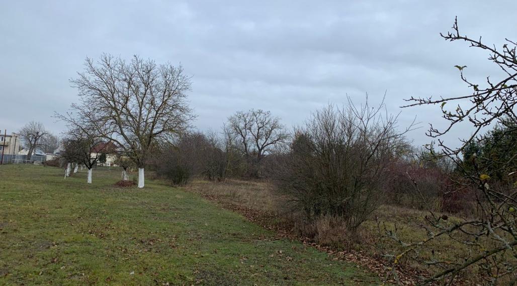 SEČOVCE - ROVINATÝ STAVEBNÝ POZEMOK 1417 PRIAMO V OBCI IS PRI POZEMKU.