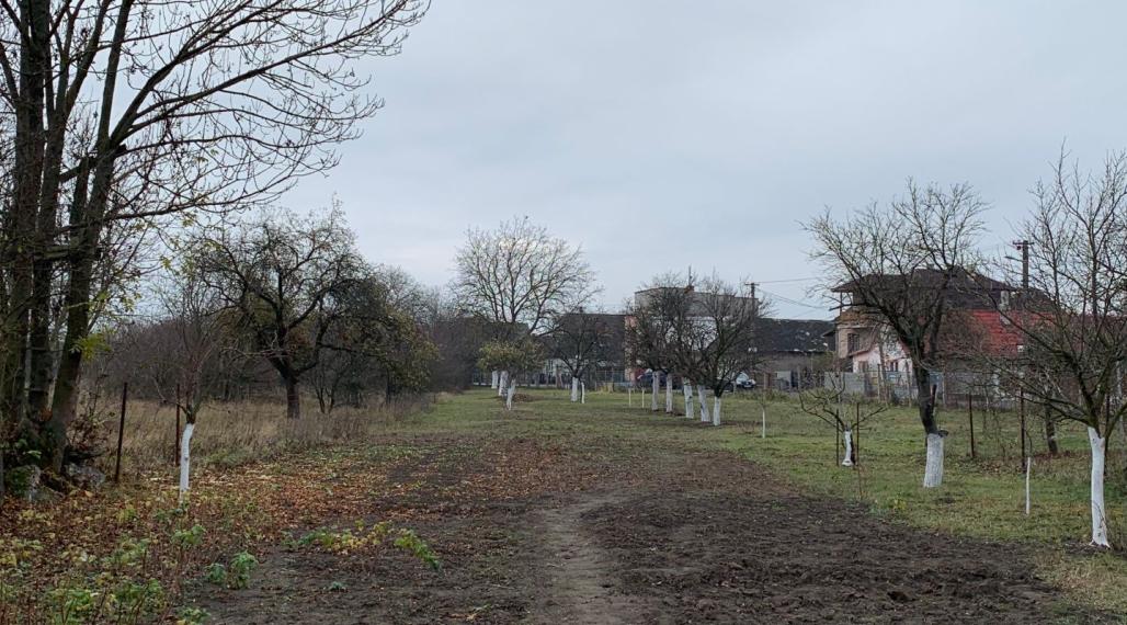 SEČOVCE - ROVINATÝ STAVEBNÝ POZEMOK 1417 PRIAMO V OBCI IS PRI POZEMKU.