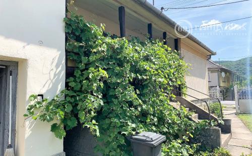 MAĎARSKO - PERKUPA 2 DOMY NA POZEMKU V CENTRE OBCE TOP STAV.