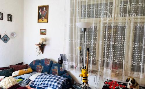 MAĎARSKO - ALSÓTELEKES RODINNÝ DOM  S HOSPODÁRSKOU BUDOVOU, GARÁŽ, VÍNNA PIVNICA, POZEMOK 2000 M2.