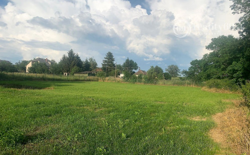 MAĎARSKO -  ZA OBCOU BUZICA PEKNÝ STAVEBNÝ POZEMOK 2.000 M2, IS PRI POZEMKU.