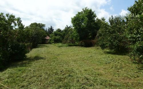 MAĎARSKO - GONCRUSZKA STAVEBNÝ POZEMOK 1.586 M2 S  IS A STUDŇOU.