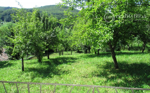 MAĎARSKO - HOLLÓHÁZA DVA DOMY NA JEDNOM POZEMKU SO 6 IZBAMI.