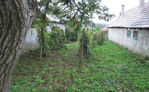 MAĎARSKO - GONC 2 IZBOVÝ ZACHOVALÝ RD V STREDE PRIESTRANNÉHO POZEMKU 1180 M2