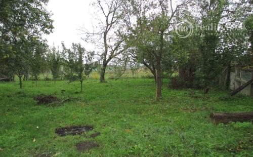 MAĎARSKO - GONC 2 IZBOVÝ ZACHOVALÝ RD V STREDE PRIESTRANNÉHO POZEMKU 1180 M2