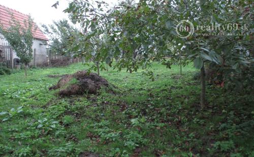 MAĎARSKO - GONC 2 IZBOVÝ ZACHOVALÝ RD V STREDE PRIESTRANNÉHO POZEMKU 1180 M2