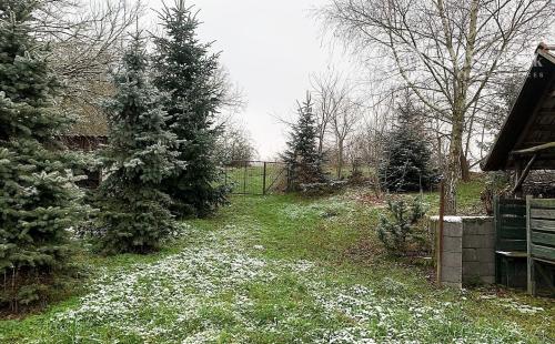 MAĎARSKO - ZA OBCOU BUZICA 2 PEKNÉ SEDLIACKE DOMY  NA JEDNOM NÁDVORÍ