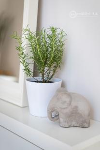 CENTRUM MESTA - LUXUSNÉ MODERNÉ APARTMÁNY V CENTRE MESTA KOMPLETNE ZARIADENÉ.