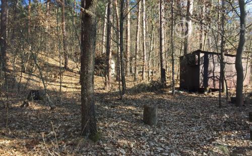 RUŽÍN - ROLOVA HUTA POZEMOK NA VÝSTAVBU CHATY V KRÁSNOM LESNOM PROSTREDÍ.