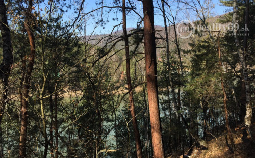 RUŽÍN - ROLOVA HUTA POZEMOK NA VÝSTAVBU CHATY V KRÁSNOM LESNOM PROSTREDÍ.