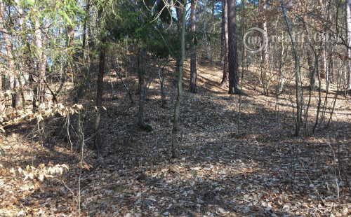 RUŽÍN - ROLOVA HUTA POZEMOK NA VÝSTAVBU CHATY V KRÁSNOM LESNOM PROSTREDÍ.