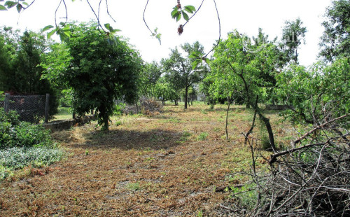 MAĎARSKO - FONY 2 IZBOVÝ RODINNÝ DOM S PEKNÝM POZEMKOM.