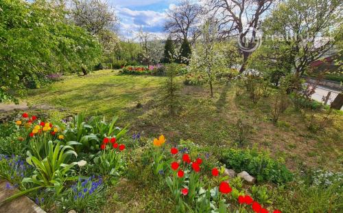 PRENÁJOM - AGGTELEK ROMANTICKÝ VIDIECKY DOM IBA 70 KM OD KOŠÍC -  V KRÁSNOM PROSTREDÍ