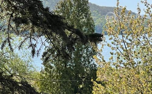 MAĎARSKO - JAZERO RAKACA - PEKNÁ 2 IZBOVÁ CHATA PRI JAZERE S TERASOU.