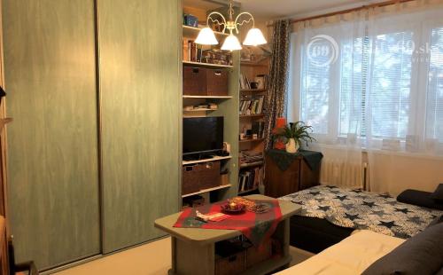 JAZERO - DONSKÁ 3 IZBOVÝ PEKNÝ BYT  68 M2 S LODŽIOU.