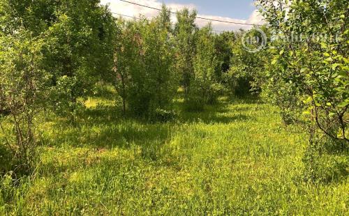 MAĎARSKO - SZENDRO PEKNÝ 2 IZBOVÝ RODINNÝ DOM PRI HLAVNEJ CESTE S VEĽKOU ZÁHRADOU