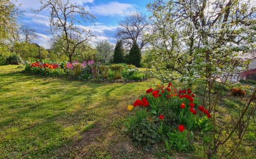 PRENÁJOM - AGGTELEK ROMANTICKÝ VIDIECKY DOM IBA 70 KM OD KOŠÍC -  V KRÁSNOM PROSTREDÍ