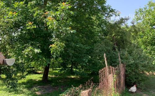 MAĎARSKO - ZSUJTA 25 KM OD KOŠIC KRÁSNY TEHLOVÝ DOM, RYBÁRSKE PROSTREDIE, RELAX.