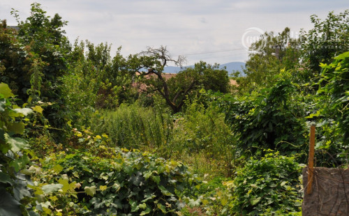 MAĎARSKO - GONC 3 IZBOVÝ  RD V TICHEJ ULIČKE SO SLOVENSKÝM SUSEDOM