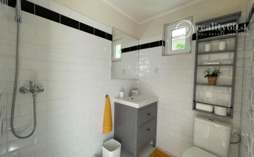 MAĎARSKO - JAZERO RAKACA - 3 IZBOVÁ CHATA S TERASOU.